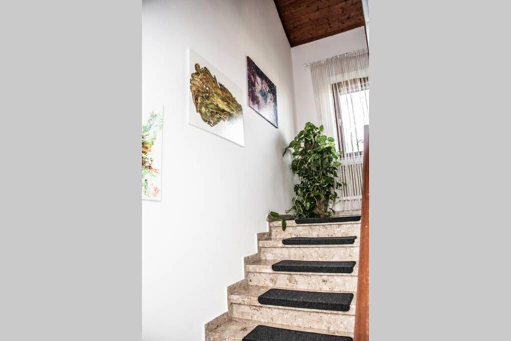 Apartment Pouringraz Fuer Kunst- Und Tennisliebhaber מראה חיצוני תמונה