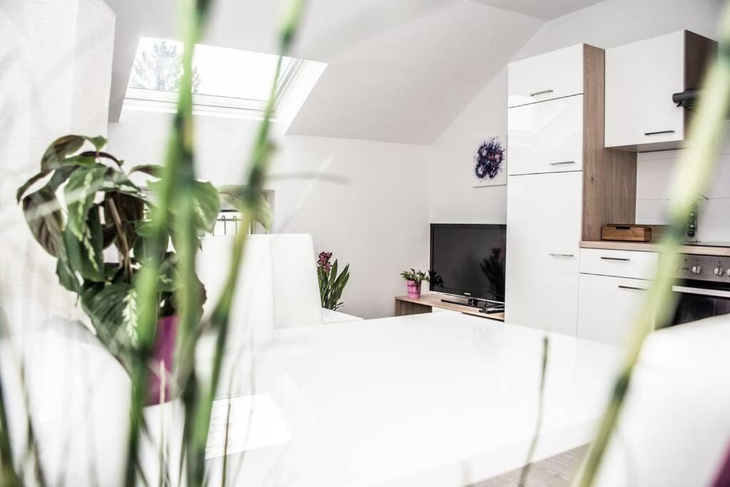 Apartment Pouringraz Fuer Kunst- Und Tennisliebhaber מראה חיצוני תמונה